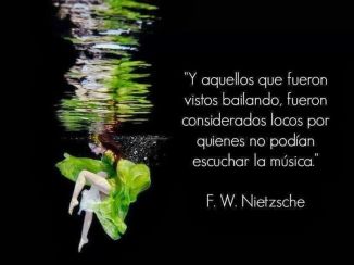 B8C036C2-83C4-4E8A-92E6-7F87A41B7ECC-10442-00000BDF2AFF0F28